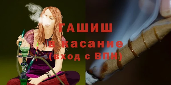 шишки Снежногорск
